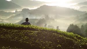 Reinventar a Colombia