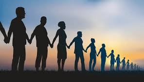 La propuesta de desarrollo