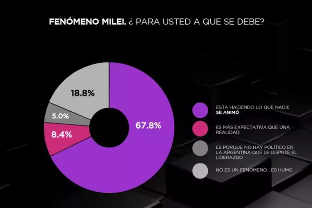 El 73.5% de los argentinos respalda el programa de Milei