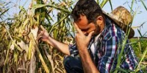 El agro de Petro, 3 años después