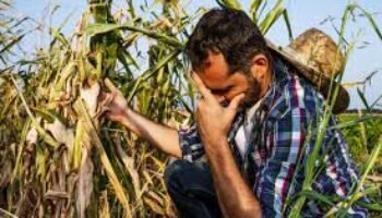 El agro de Petro, 3 años después