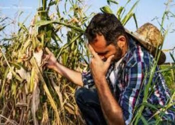 El agro de Petro, 3 años después