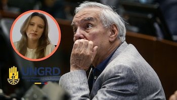 La exasesora de la cartera