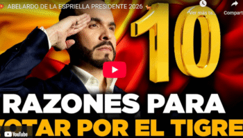 Razones para votar por el Tigre