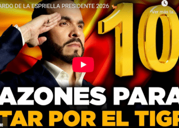Razones para votar por el Tigre