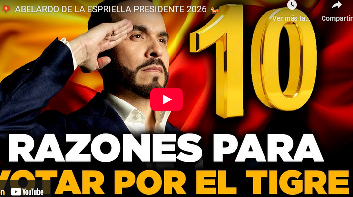 Razones para votar por el Tigre