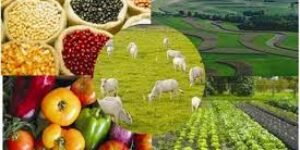 SAC presenta 43 propuestas para fortalecer el agro y pide ley que garantice el abastecimiento