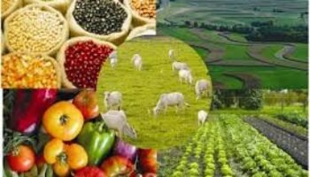 SAC presenta 43 propuestas para fortalecer el agro y pide ley que garantice el abastecimiento