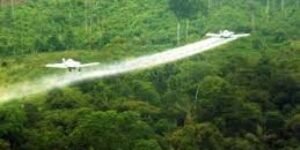 Estados Unidos debería rociar con herbicidas los mortíferos campos de cocaína de Colombia
