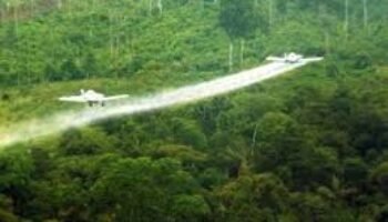 Estados Unidos debería rociar con herbicidas los mortíferos campos de cocaína de Colombia