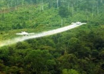 Estados Unidos debería rociar con herbicidas los mortíferos campos de cocaína de Colombia