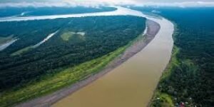 Así es como la Amazonía colombiana “suministra la demanda internacional de cocaína, oro y carne” a los grupos armados ilegales