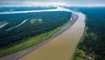 Así es como la Amazonía colombiana “suministra la demanda internacional de cocaína, oro y carne” a los grupos armados ilegales