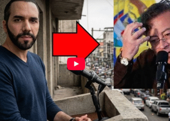 «Bukele le DICE en su CARA a Petro cómo acabaría con las FARC en Colombia”
