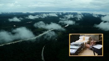 La Amazonía es un importante