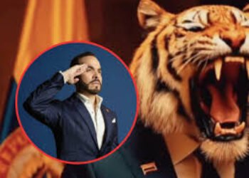 Falacias, incoherencias y complicidades