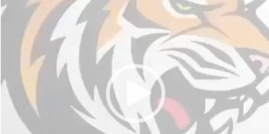 COMO VOTAR POR LA LISTA DEL TIGRE 🐅?