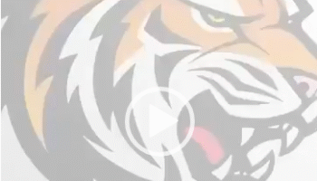 COMO VOTAR POR LA LISTA DEL TIGRE 🐅?