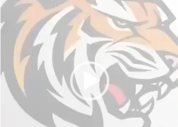 COMO VOTAR POR LA LISTA DEL TIGRE 🐅?