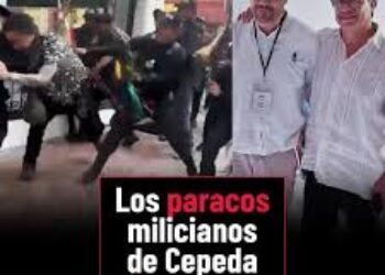 Los paracos milicianos de Cepeda | Impacto 24-7