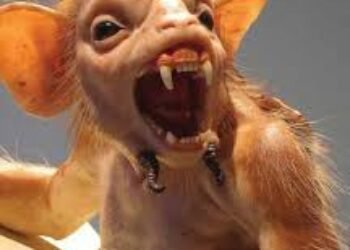 El país de las ratas de dos patas | Luis Guillermo Echeverri Vélez