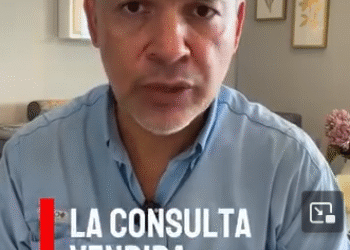 La consulta no es democracia