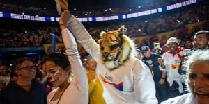 Croniquilla – El tigre y la paloma