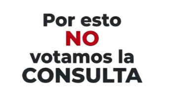 Por esto no votamos la consulta!