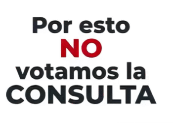 Por esto no votamos la consulta!