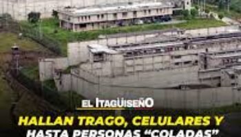 Parranda en cárcel de Itagüí impulsó nueva arremetida de Bukele contra Petro: “Si decide llevárselos, definitivamente la pasarán mejor”