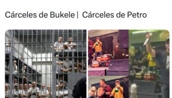 URGENTE Abelardo PRESIDENTE!!! 🐯💪🏼🫡🇨🇴