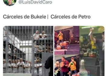 URGENTE Abelardo PRESIDENTE!!! 🐯💪🏼🫡🇨🇴