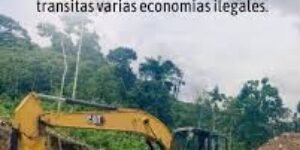 Dura arremetida de Daniel Noboa, presidente de Ecuador, contra Gustavo Petro