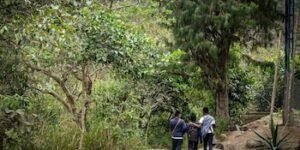 Casi 40.000 colombianos viven confinados por grupos armados y la Defensoría alerta que la crisis se agrava en 2026