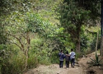 Casi 40.000 colombianos viven confinados por grupos armados y la Defensoría alerta que la crisis se agrava en 2026
