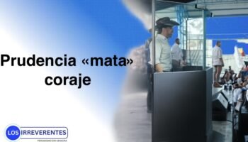 La cobardía, según Paloma