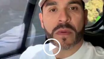 🚨 ¡ALERTA NACIONAL: EL TIGRE ESTÁ EN PELIGRO! 🐅