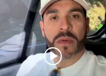 🚨 ¡ALERTA NACIONAL: EL TIGRE ESTÁ EN PELIGRO! 🐅