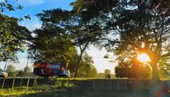 La sacaron del estadio con este video! A mi me emocionó hasta las lágrimas 🙏