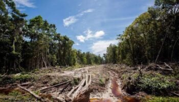 Equipo de Abelardo De la Espriella alerta por aumento de deforestación en parques naturales colombianos