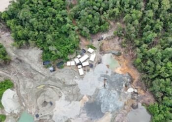 Estudio avisa que Colombia podría recaudar hasta $19 billones con minerales críticos si frena el crimen organizado