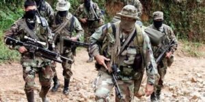 Hoy los grupos armados ilegales tienen en Colombia 27.500 integrantes