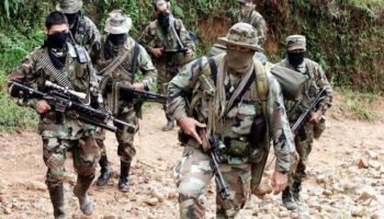 Hoy los grupos armados ilegales tienen en Colombia 27.500 integrantes