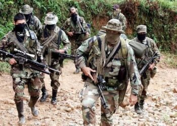 Hoy los grupos armados ilegales tienen en Colombia 27.500 integrantes