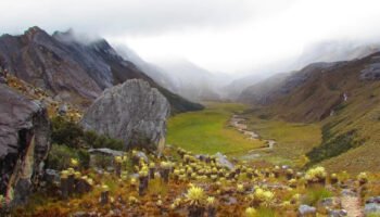Captan en imágenes cómo una mina ilegal de oro destruyó parte del páramo de Santurbán