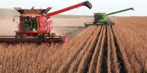 Indalecio Dangond Baquero: el campo colombiano llega al Ministerio de Agricultura