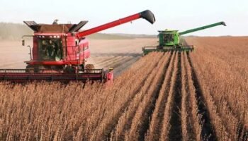 Indalecio Dangond Baquero: el campo colombiano llega al Ministerio de Agricultura