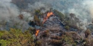 Disidencias de las Farc podrían estar detrás de los incendios en Tolima: ofrecen millonaria recompensa por información sobre los responsables