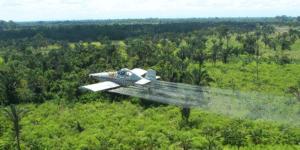 Gobierno De La Espriella tumba resolución que prohibía aspersión aérea con glifosato sobre cultivos ilícitos