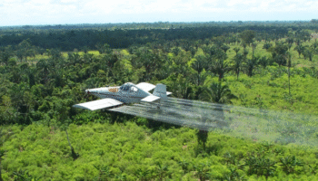 Gobierno De La Espriella tumba resolución que prohibía aspersión aérea con glifosato sobre cultivos ilícitos